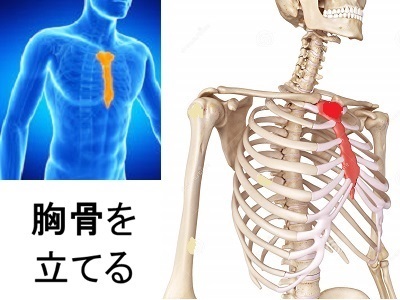 大人猫背 成人猫背 の改善