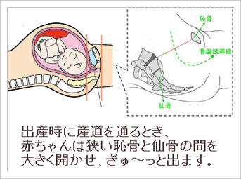 妊娠中の体重増加と年齢別身体影響