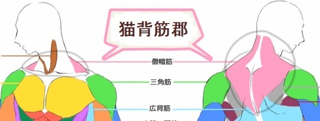 猫背姿勢矯正コース - 【公式】整体やまつばき｜立川市の仙骨矯正院