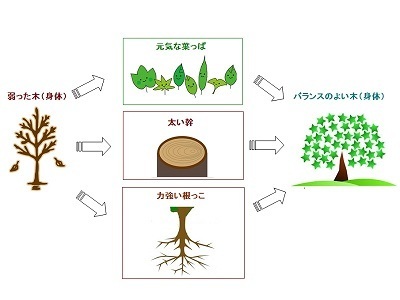 全身バランス整体コース 公式 整体やまつばき 立川市の仙骨矯正院