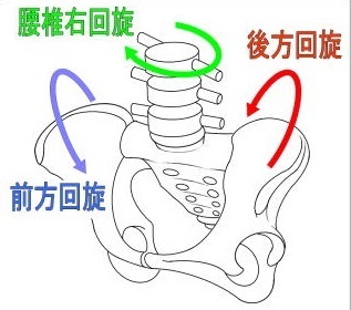 仙骨矯正 Sot 仙骨後頭骨テクニック の概要