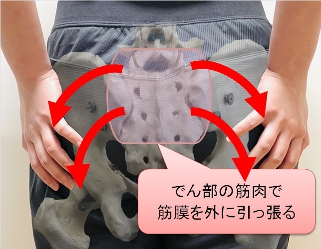 仙腸筋膜のほぐし（外）