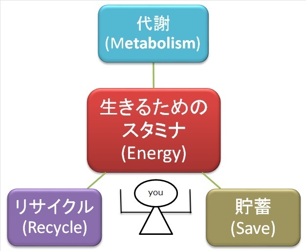 生きるためのスタミナ（理想）