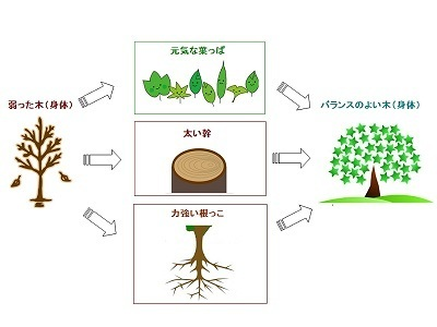 バランス三位一体