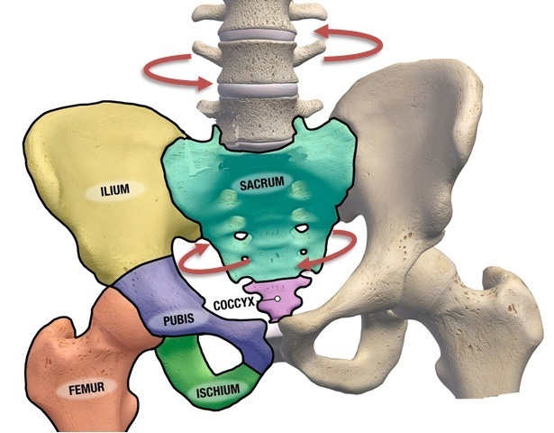 Sacrum_disturb