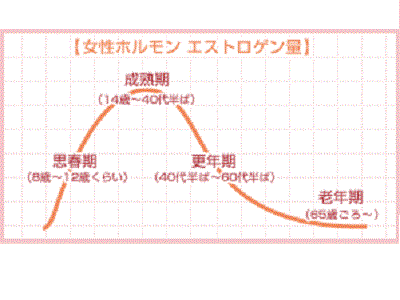 女性の節目と女性ホルモン量