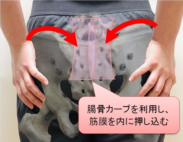 仙腸筋膜のほぐし（内）