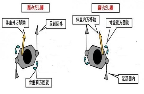 仙骨と運動連鎖_01