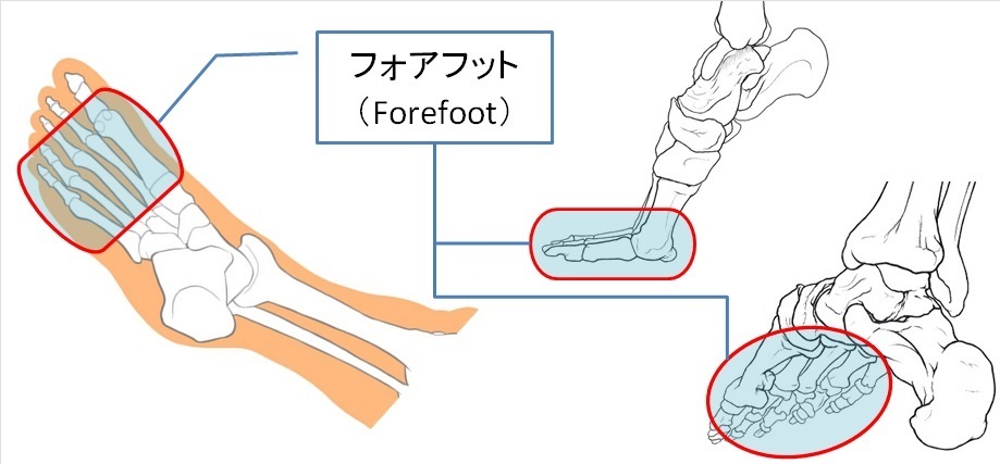フォアフット着地（forefoot）