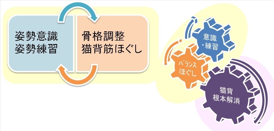 大人の猫背解消に向けた対処