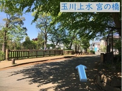 宮の橋を北進