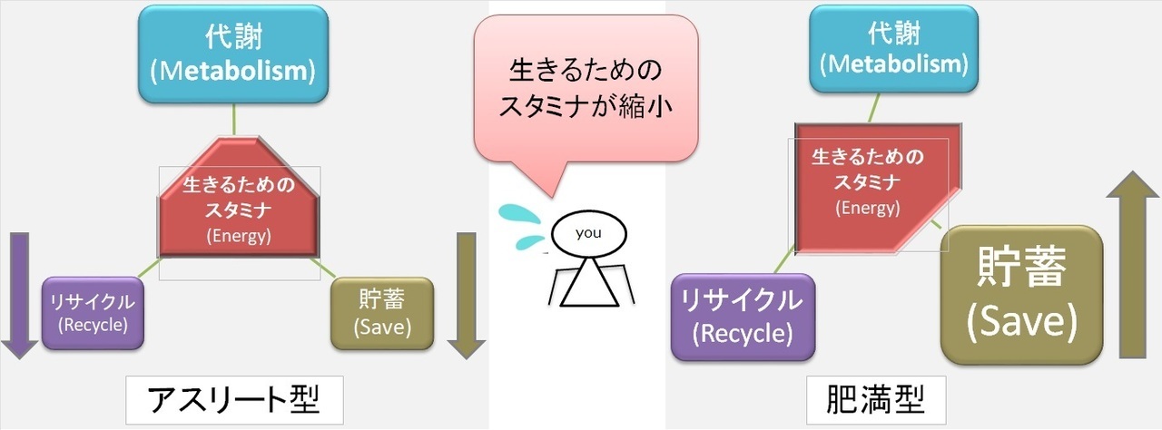 生きるためのスタミナ（縮小）