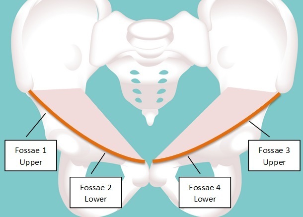 Sacrum_Fossa