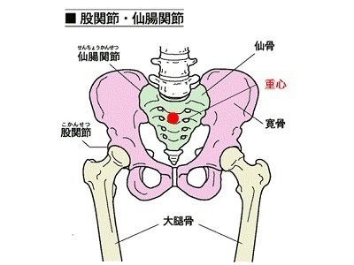 仙骨と重心