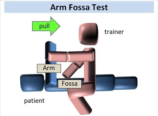 筋力テスト(Arm Fossa Test)