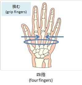 四指(four fingers)