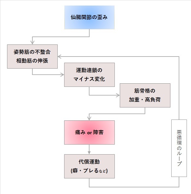 仙腸関節と痛みのループ