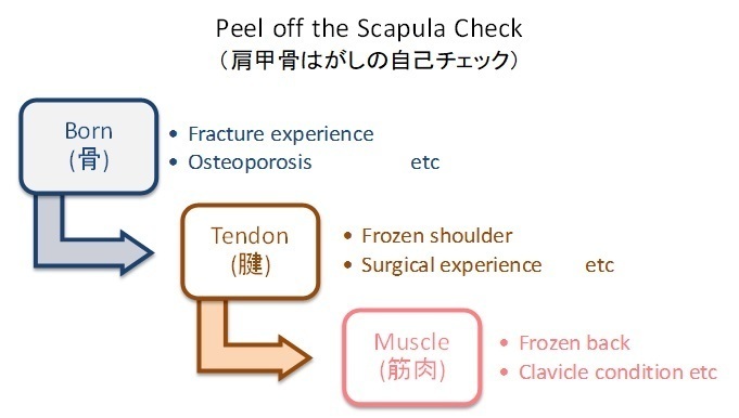 Peel_off__Scapula_Check