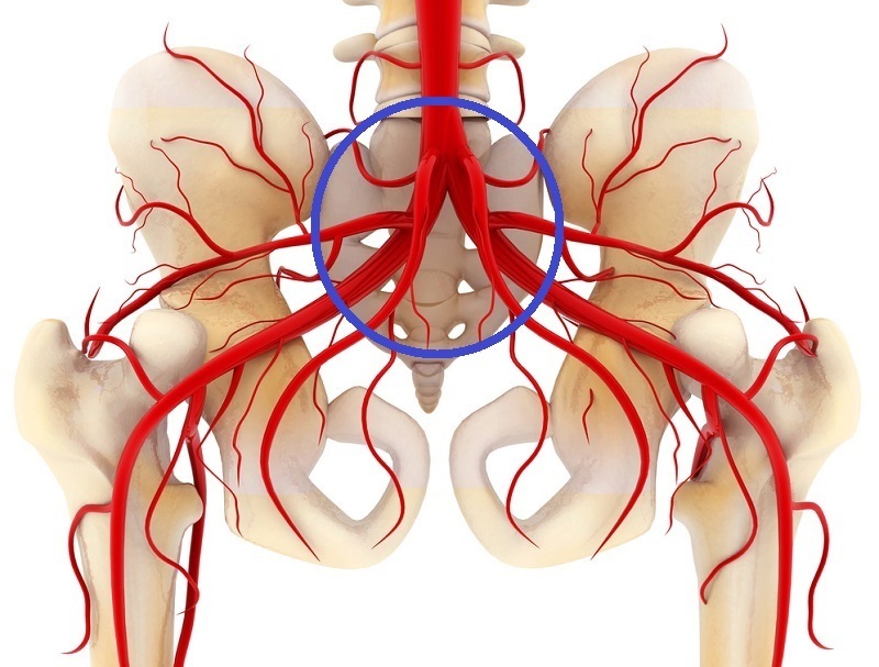 Sacrum_Vasomoto