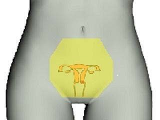 Female genitals over sacrum
