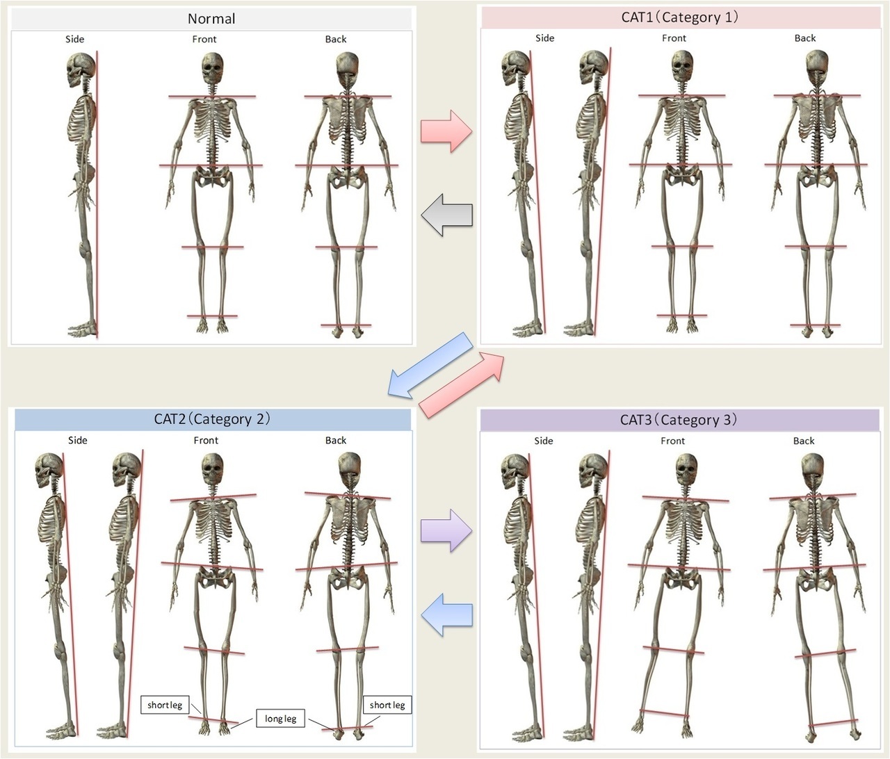 SOT_balance_category