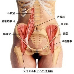 Sacroiliac joint pain from hip joint