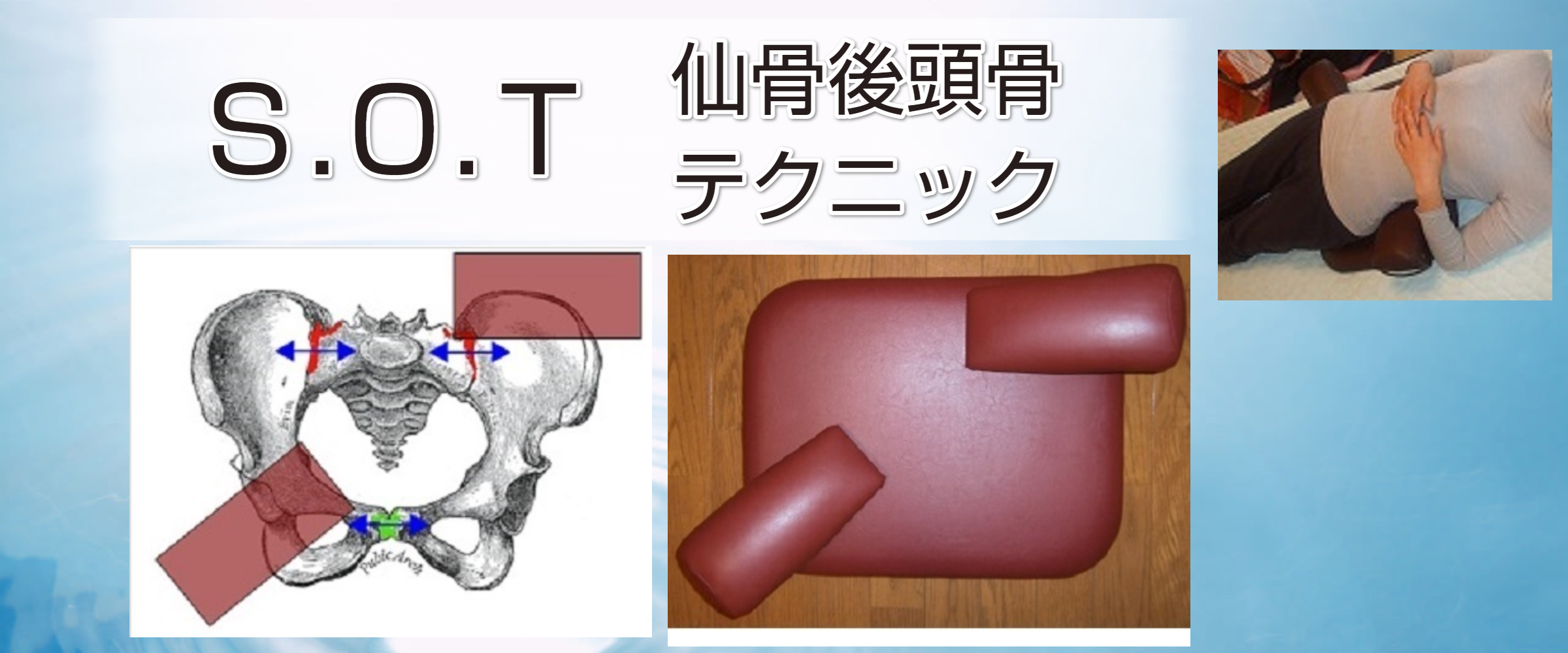仙骨後頭骨テクニックの解剖学と生理学 仙骨後頭骨テクニックの解剖学と生理学 スカイ・イースト